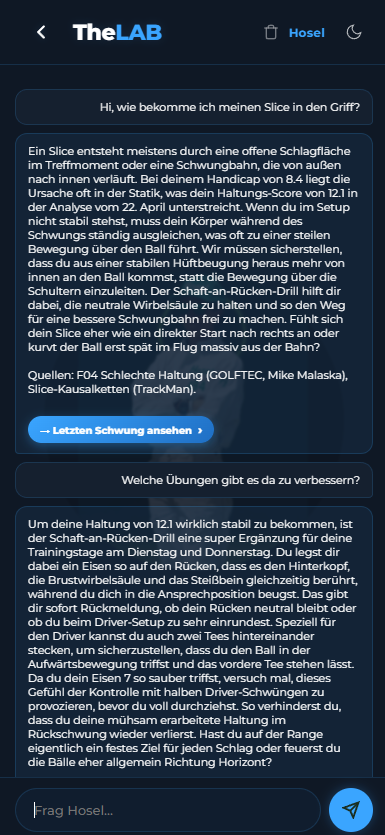 Hosel-Chat mit Action-Marker 'Letzten Schwung ansehen' und Quellen